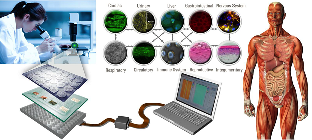 BIO-MIMETICS human body on a chip